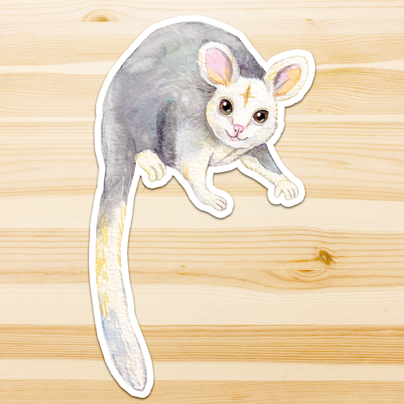 Australian Animal Large Vinyl Waterproof window wall decor Stickers Original Artworks Selected 10pcs Pack by Watercolour By Cat