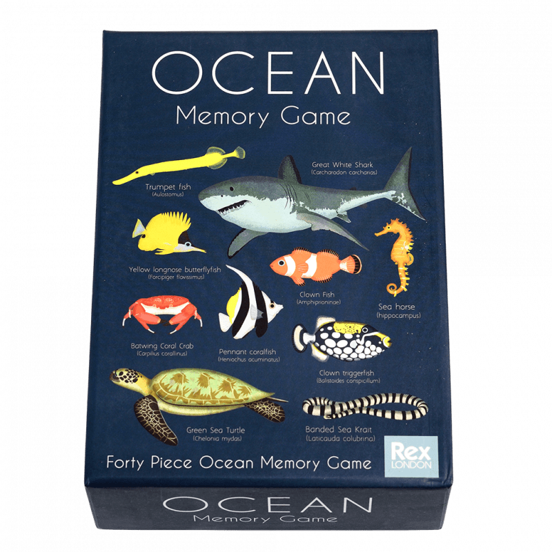 Rex London Matching 20 Pairs Memory Game Ocean 3yrs+