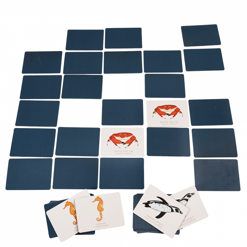 Rex London Matching 20 Pairs Memory Game Ocean 3yrs+