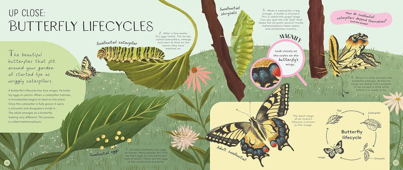 Minibeasts Under the Magnifying Glass (Hardcover) by Rosie Neave 5yrs+