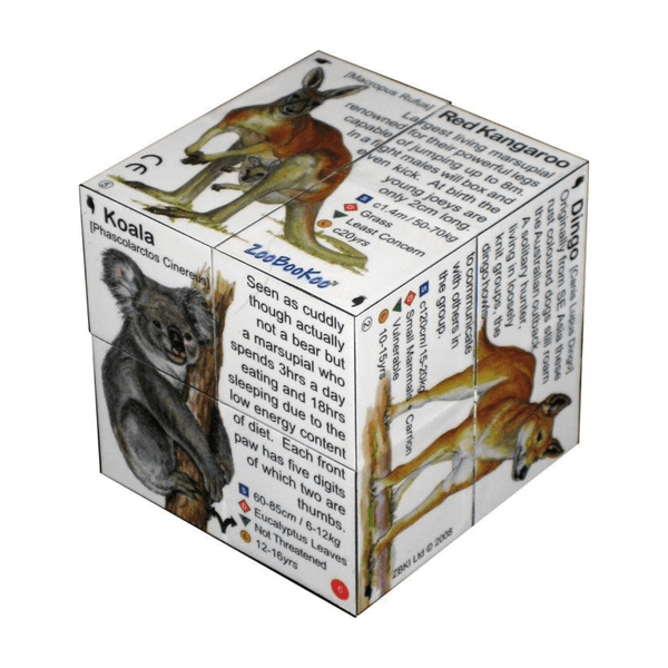 Desert Australia,  Diorama Box with Kangaroos and Outback by