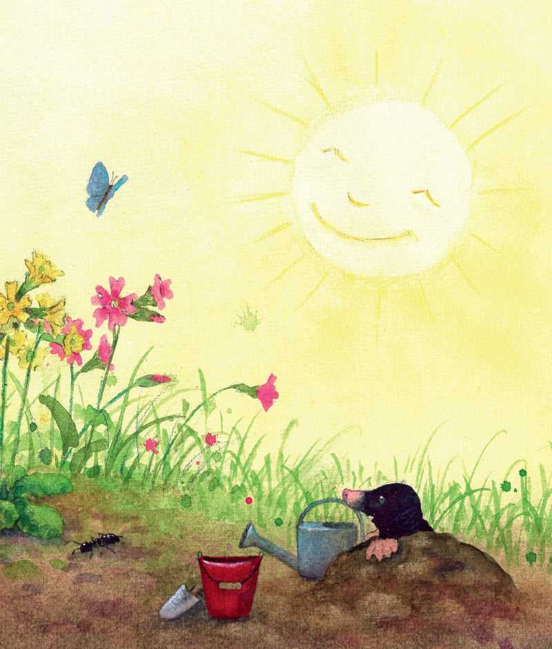 Pippa And Pelle in the Spring Garden (Board Book) By Daniela Drescher Kids Picture Book