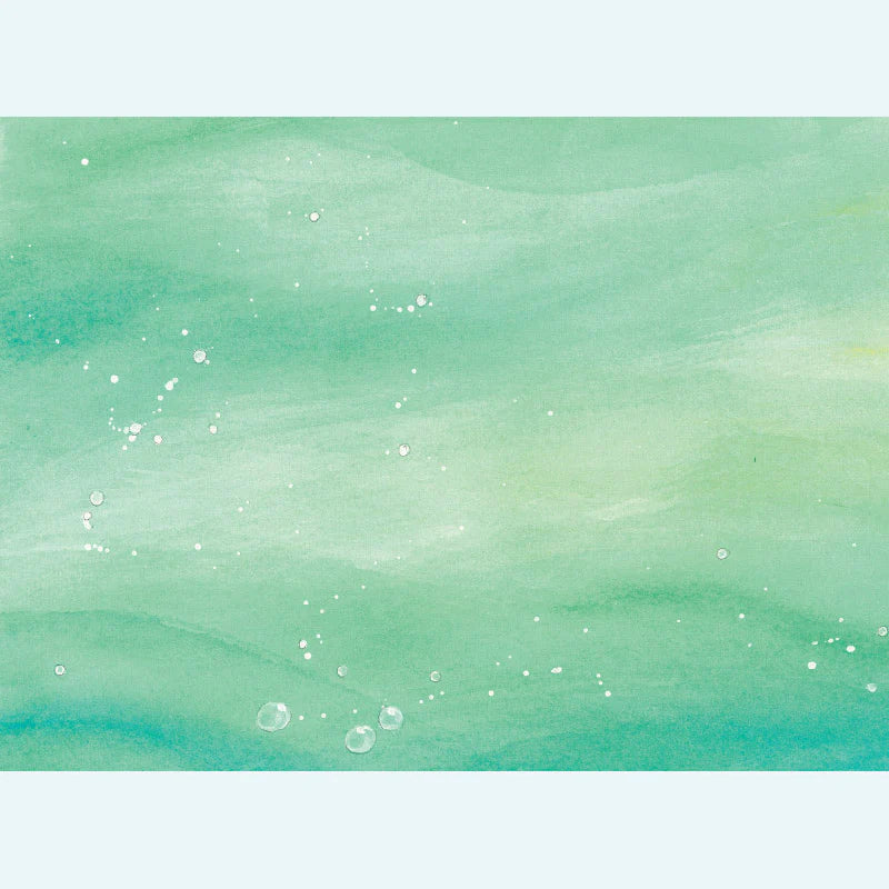 In The Land of Mermaids (Hardcover) By Daniela Drescher Kids Picture Book