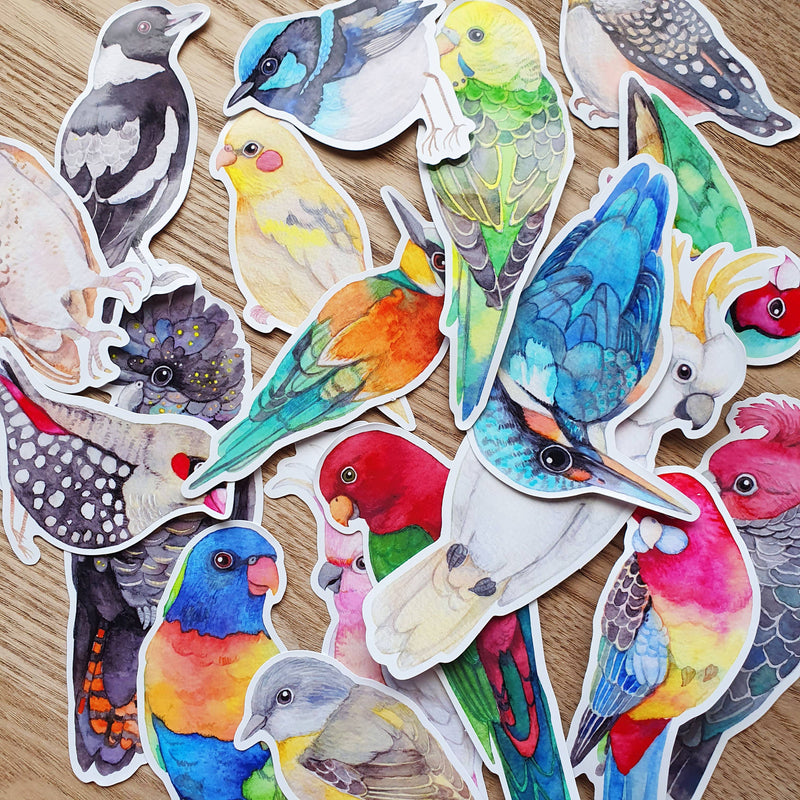 Australian Bird Stickers Vinyl Waterproof Stickers set of 4 by Watercolour By Cat