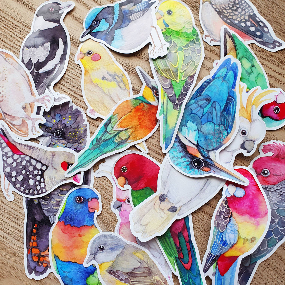Australian Bird Stickers Vinyl Waterproof Stickers set of 4 by Waterco ...
