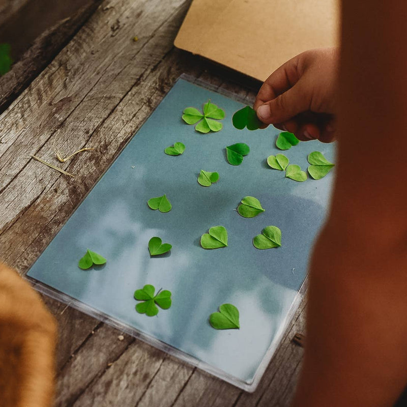 Nature Print Kit Sun Printing Paper by Our Earth Life Nature Play Art and craft for kids 3yrs+