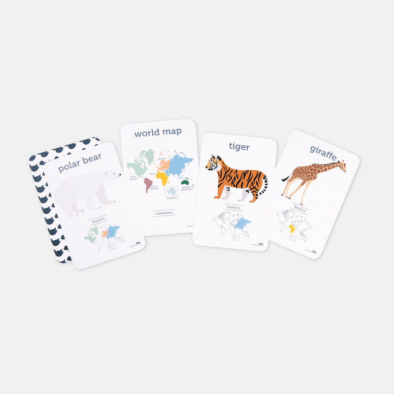 World Animals Flash Cards by Two Little Ducklings 4yrs+
