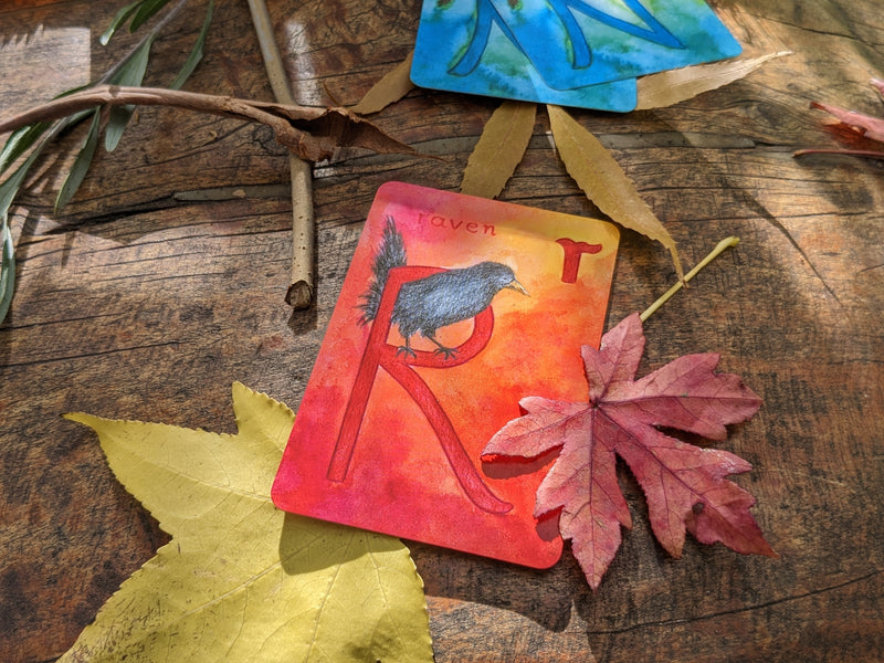 Grimm's Waldorf Education Alphabet Cards 48 Cards Early Literacy Cognitive Language Phonics 3yrs+