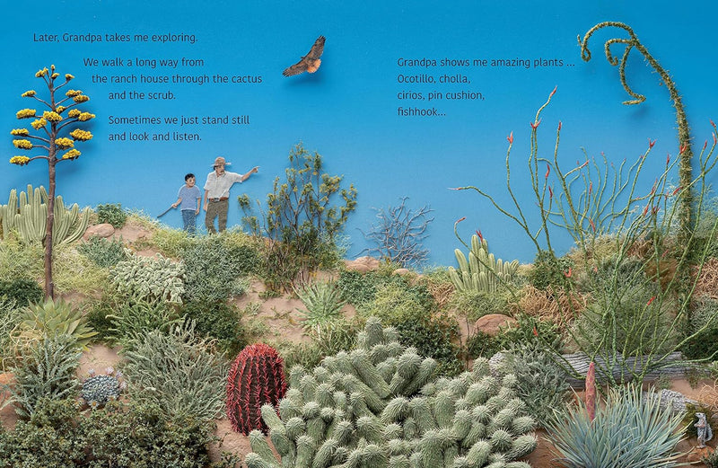 Desert Jungle (Paperback) By Jeannie Baker Kids Picture Book