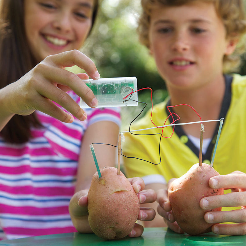 Green Science Potato Clock By 4M Early Science STEM Toys 8yrs+