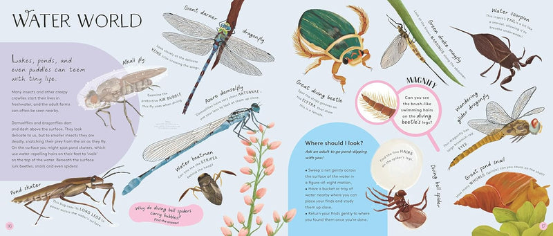 Minibeasts Under the Magnifying Glass (Hardcover) by Rosie Neave 5yrs+