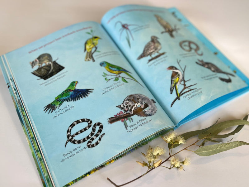 Sunny Finds His Song (Hardcover) by Cate Storey, Penny Watson, Sarah Matsuda Australian Animals Kids Picture Book Australian Authors