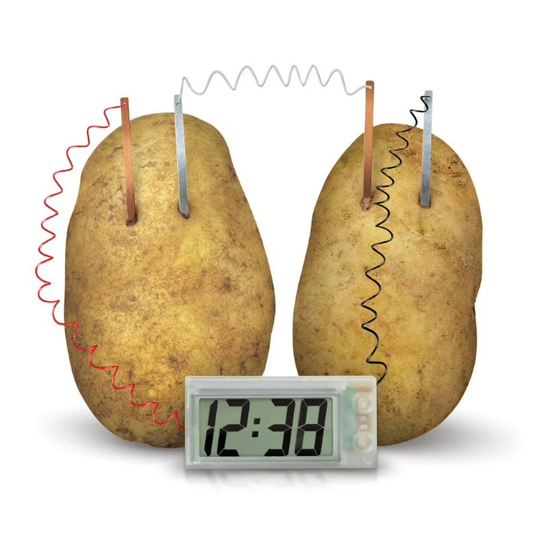 Green Science Potato Clock By 4M Early Science STEM Toys 8yrs+