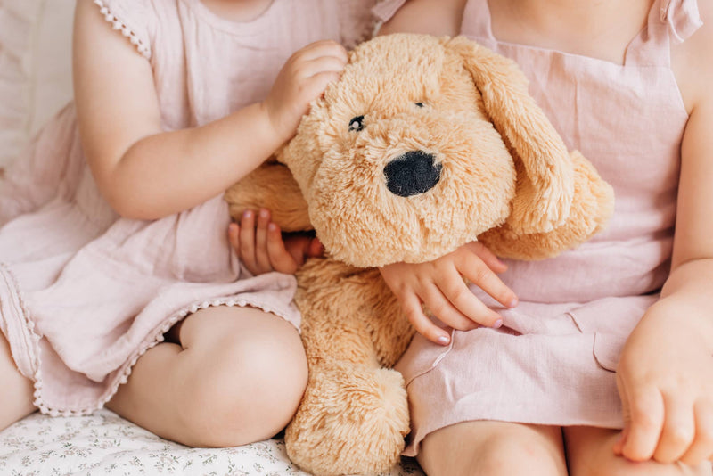 Mindful & Co Kids Charlie The Sensory Puppy Dog Weight Plush Toys Wellbeing Gifting Idea Best Seller 3yrs+