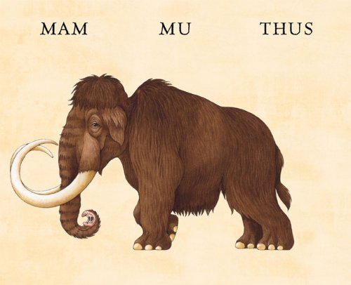 Flip-O-Storic (Board Book) by Sara Ball Prehistoric Interactive Kids Book