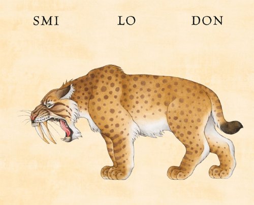 Flip-O-Storic (Board Book) by Sara Ball Prehistoric Interactive Kids Book