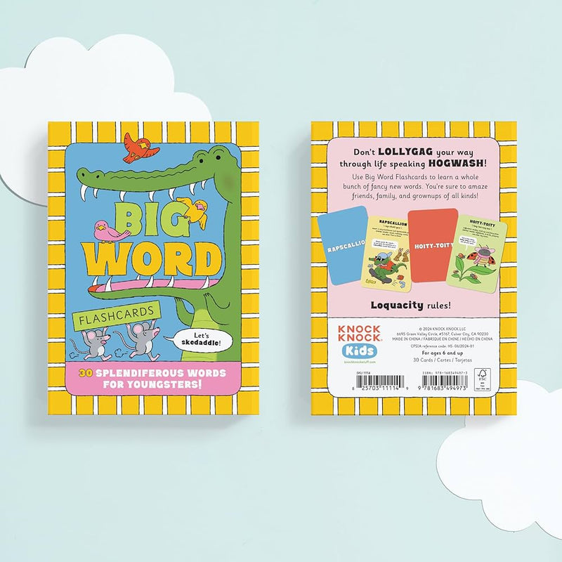 Big Word 30 Flashcards By Knock Knock Kids Early Phonics Literacy 6yrs+