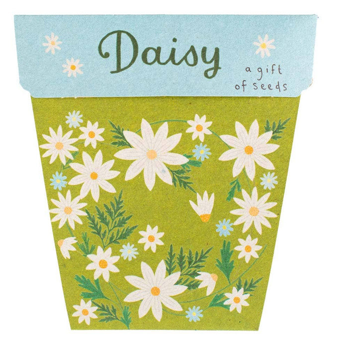 Sow 'n Sow Daisy Gift of Seeds 3yrs+