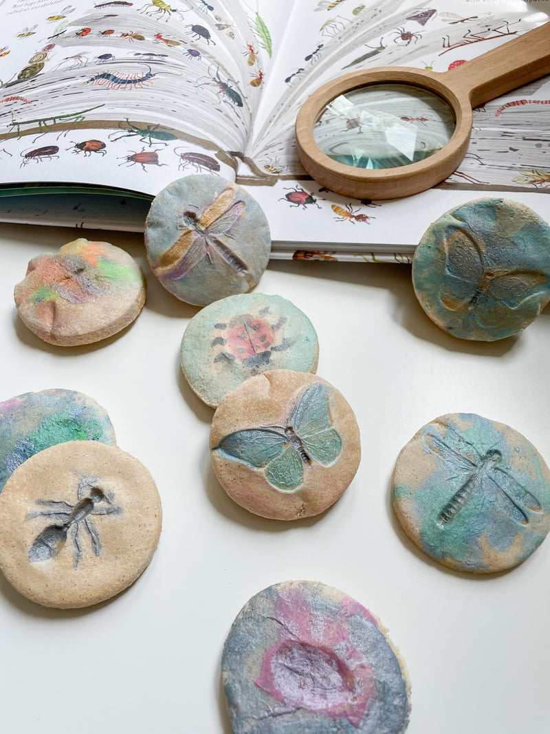 Yellow Door Let’s Investigate Bugs Set of 8 Sensory Stone Art and Craft for Kids Playdough Sand Toys Sensory Toys for Toddlers Gift Idea 2yrs+