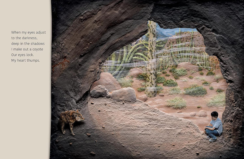 Desert Jungle (Paperback) By Jeannie Baker Kids Picture Book