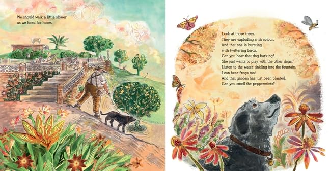 Old Fellow Picture Book (Hardcover) By Christopher Cheng & Liz Anelli Gift Idea for Preschooler 3yrs+