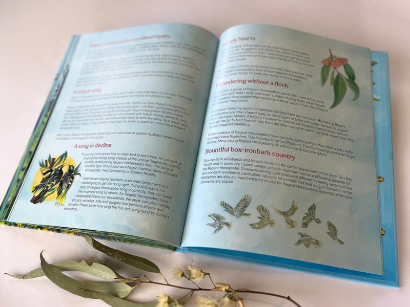 Sunny Finds His Song (Hardcover) by Cate Storey, Penny Watson, Sarah Matsuda Australian Animals Kids Picture Book Australian Authors