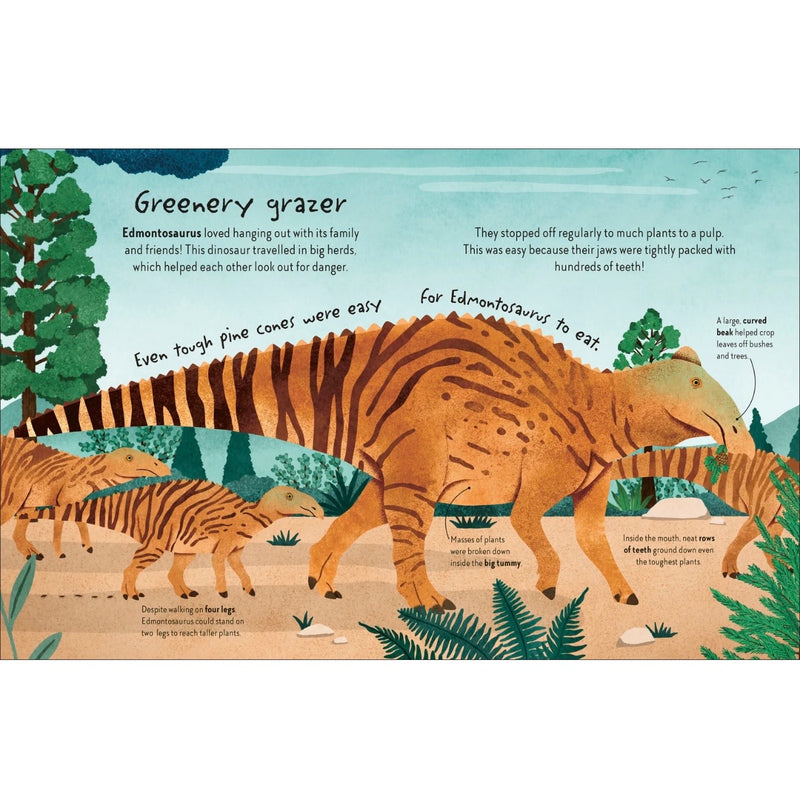 Time to Explore Dinosaurs With a Foldout Surprise (Hardcover) by Andrea Mills by DK Books Discovering Prehistoric Life, Habitats and Dinosaur Sizes