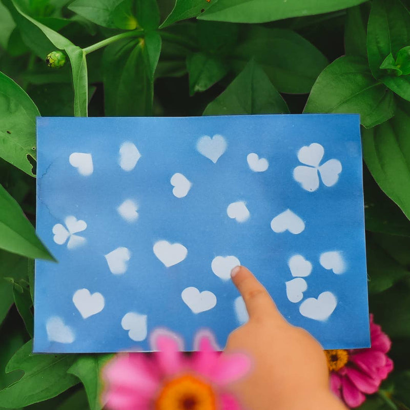 Nature Print Kit Sun Printing Paper by Our Earth Life Nature Play Art and craft for kids 3yrs+