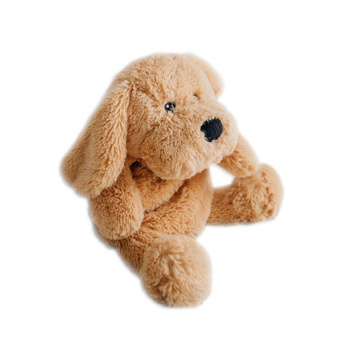 Puppy dog toys for kids hot sale