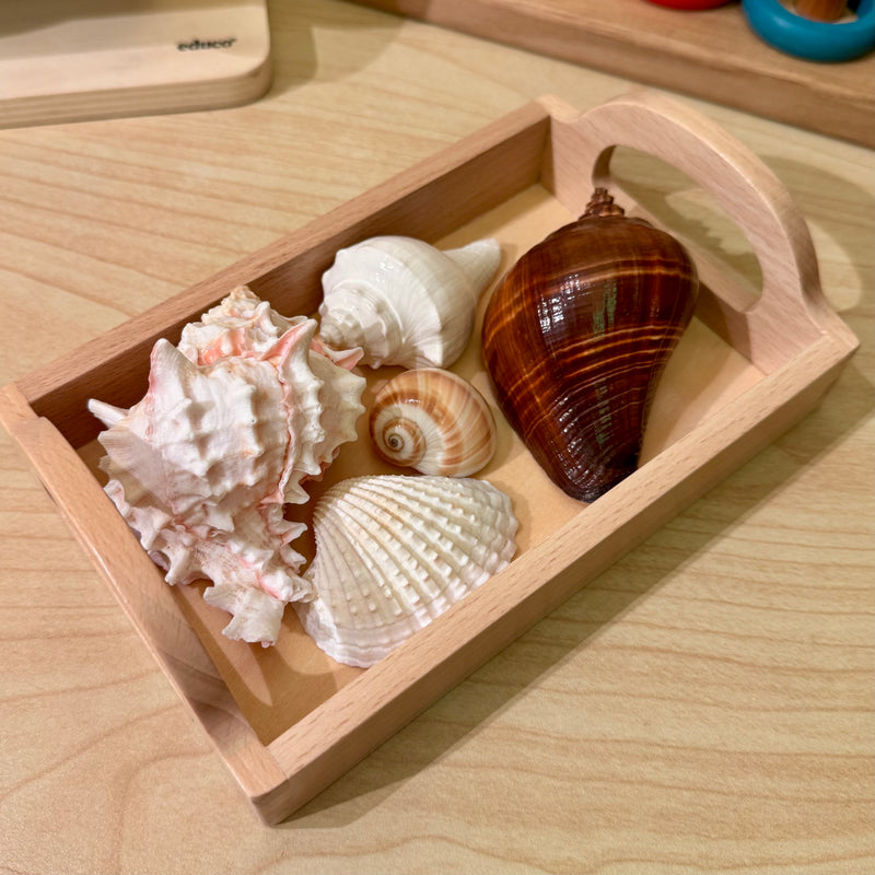Montessori Wooden Tray Small (16.5 x 10cm) Montessori Practical Life Materials