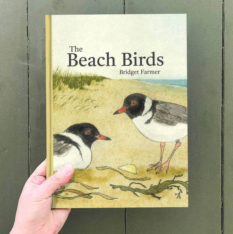 Bridget Farmer Printmaker The Beach Birds Children's Lift The Flap Book Australian Animals