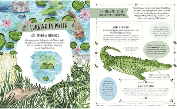 Wild (Hardcover) Kid’s Picture Book Gift Idea for 7yrs+