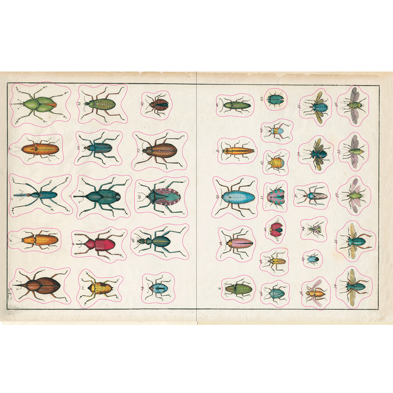 John Derian Sticker Book With Over 500 Stickers (Hardcover) Kids Picture book