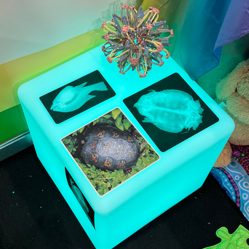 Tickit Sensory Mood Light Cube Sensory Play Furniture School Range 12m+ (Furniture Shipping)