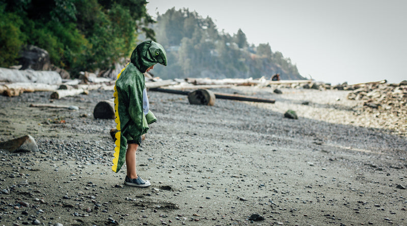 T-Rex Hooded  Size 4-5 Cape by Great Pretender Costumes Best Seller Dinosaur and Dragon Theme 3yrs+