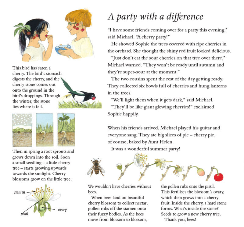 How Does My Fruit Grow? (Hardcover) By Gerda Muller Kids Book