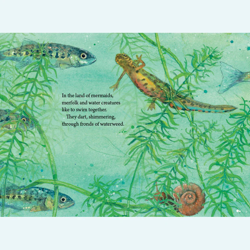 In The Land of Mermaids (Hardcover) By Daniela Drescher Kids Picture Book
