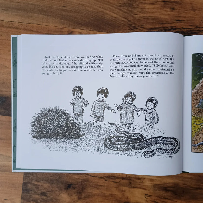 Children of The Forest (Hardcover) by Elsa Beskow Kids Book