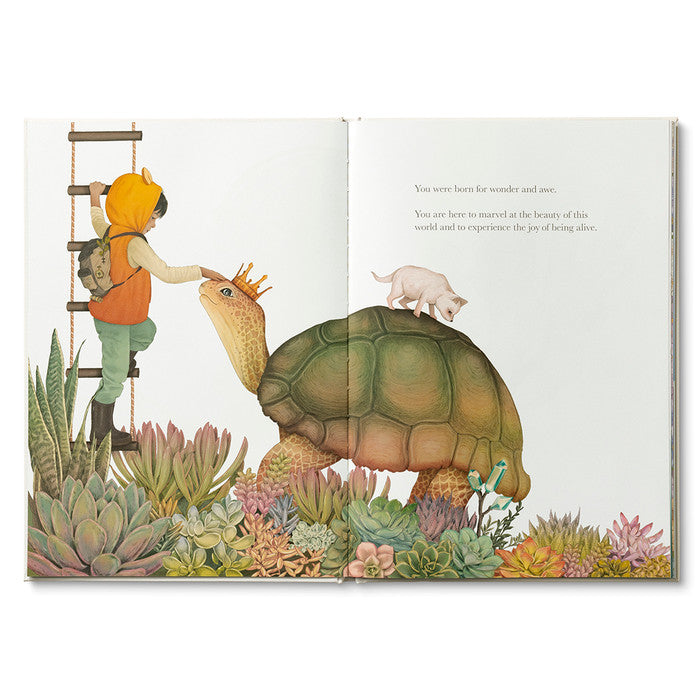 Why Not? (Hardcover) by Kobi Yamada Kids Picture Book