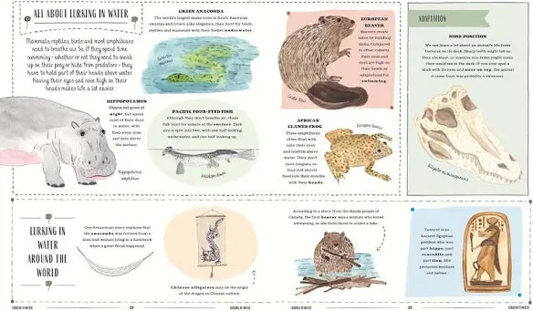 Wild (Hardcover) Kid’s Picture Book Gift Idea for 7yrs+