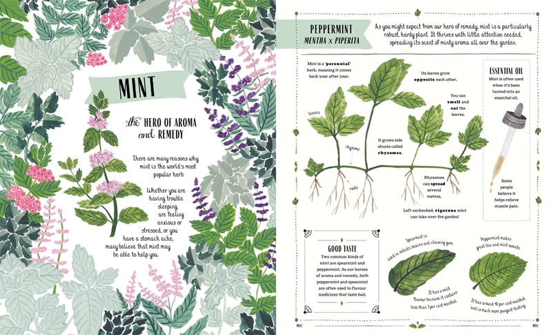 Grow : A Guide to Plants and How to Grow Them (Hardcover) by Riz Reyes, Sara Boccaccini Meadows From Magic Cat - Gardening and Nature Non-fiction Kids Book