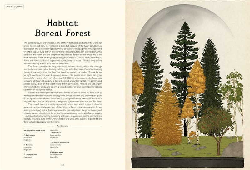 Arboretum (Hardcover): Nature Kids Picture Book