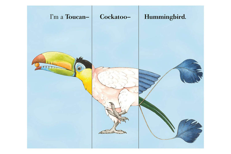 Flip A Feather (Board Book) Interactive Book by Sara Ball: Birds Kids Book