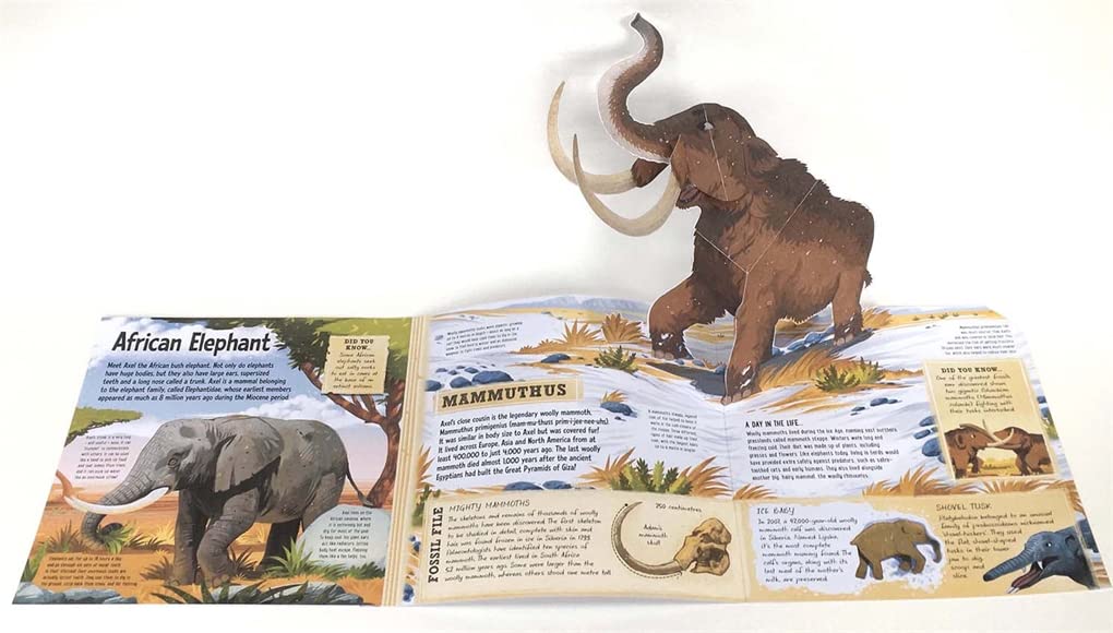 Prehistoric Beasts (Pop Up Book)