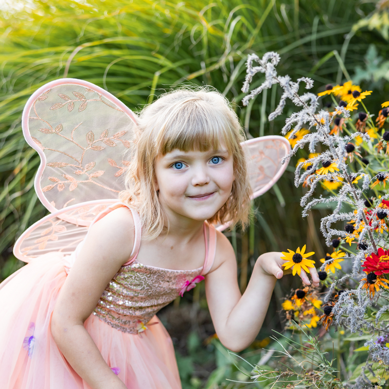 Butterfly Bliss Wings Peach by Great Pretenders Fairy Theme Costume Halloween 3yrs+