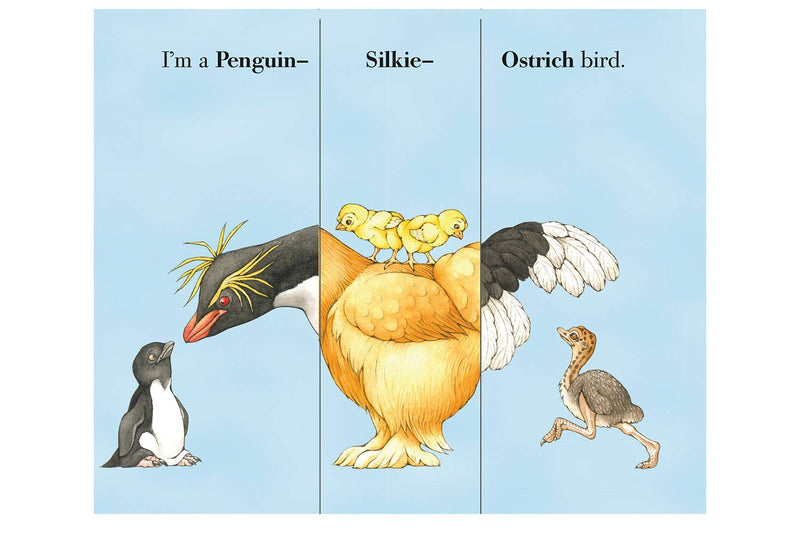 Flip A Feather (Board Book) Interactive Book by Sara Ball: Birds Kids Book