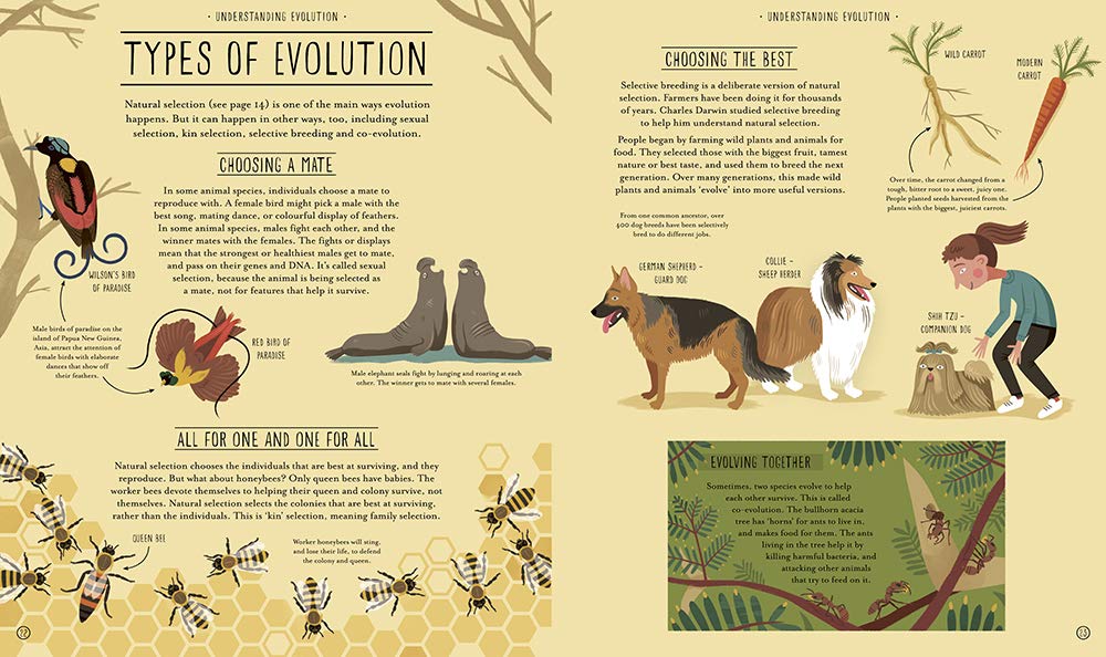 Amazing Evolution: The Journey of Life (Hardcover)