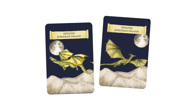 Discover The Dragons Kids Memory Card Game Dinosaur and Dragon Theme 4yrs+