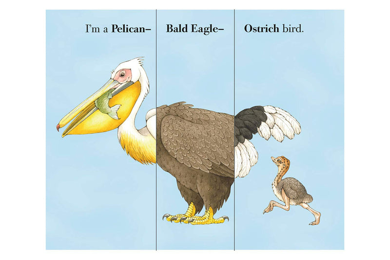 Flip A Feather (Board Book) Interactive Book by Sara Ball: Birds Kids Book