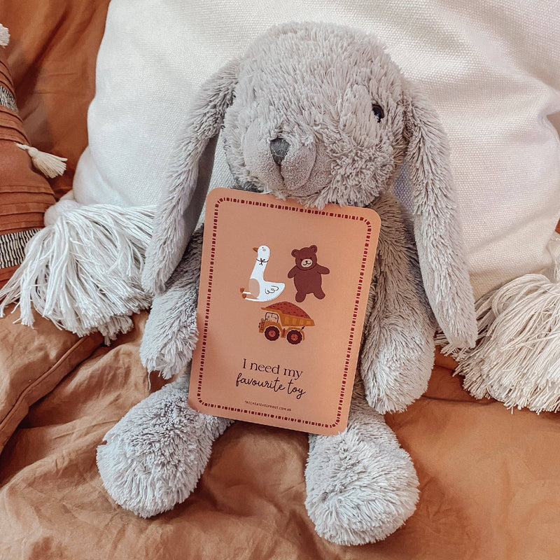 The Creative Sprout Communication Cards for Kids Social-Emotional Behavioural Wellbeing Life Beliefs and Values 3yrs+